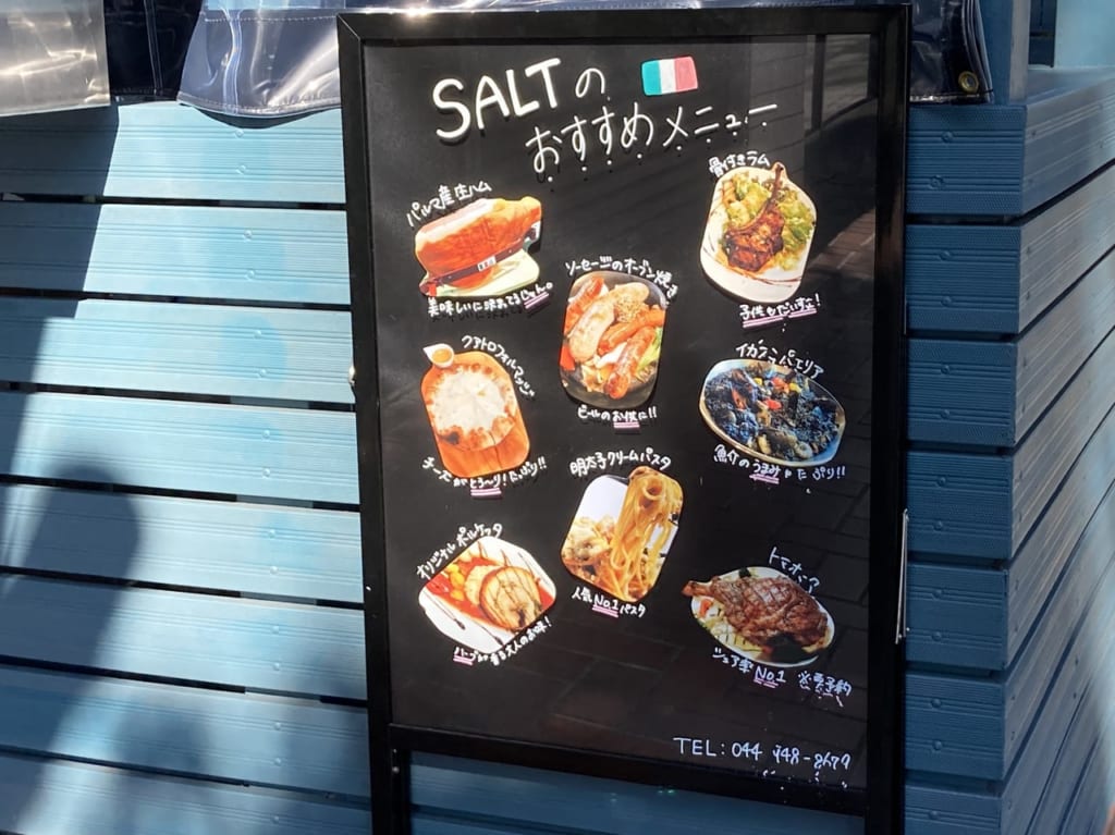 SALTの紹介