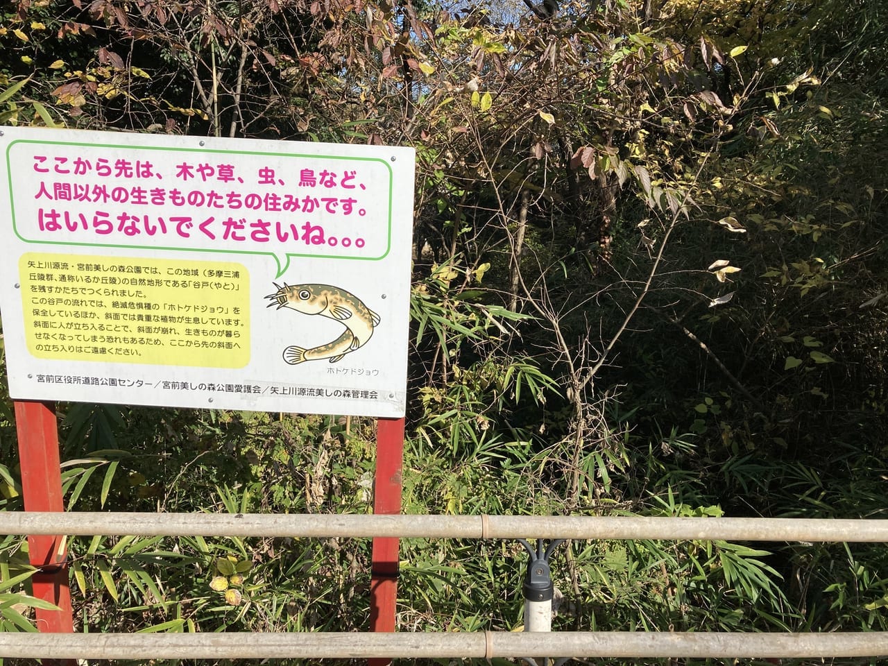 宮前美しの森公園