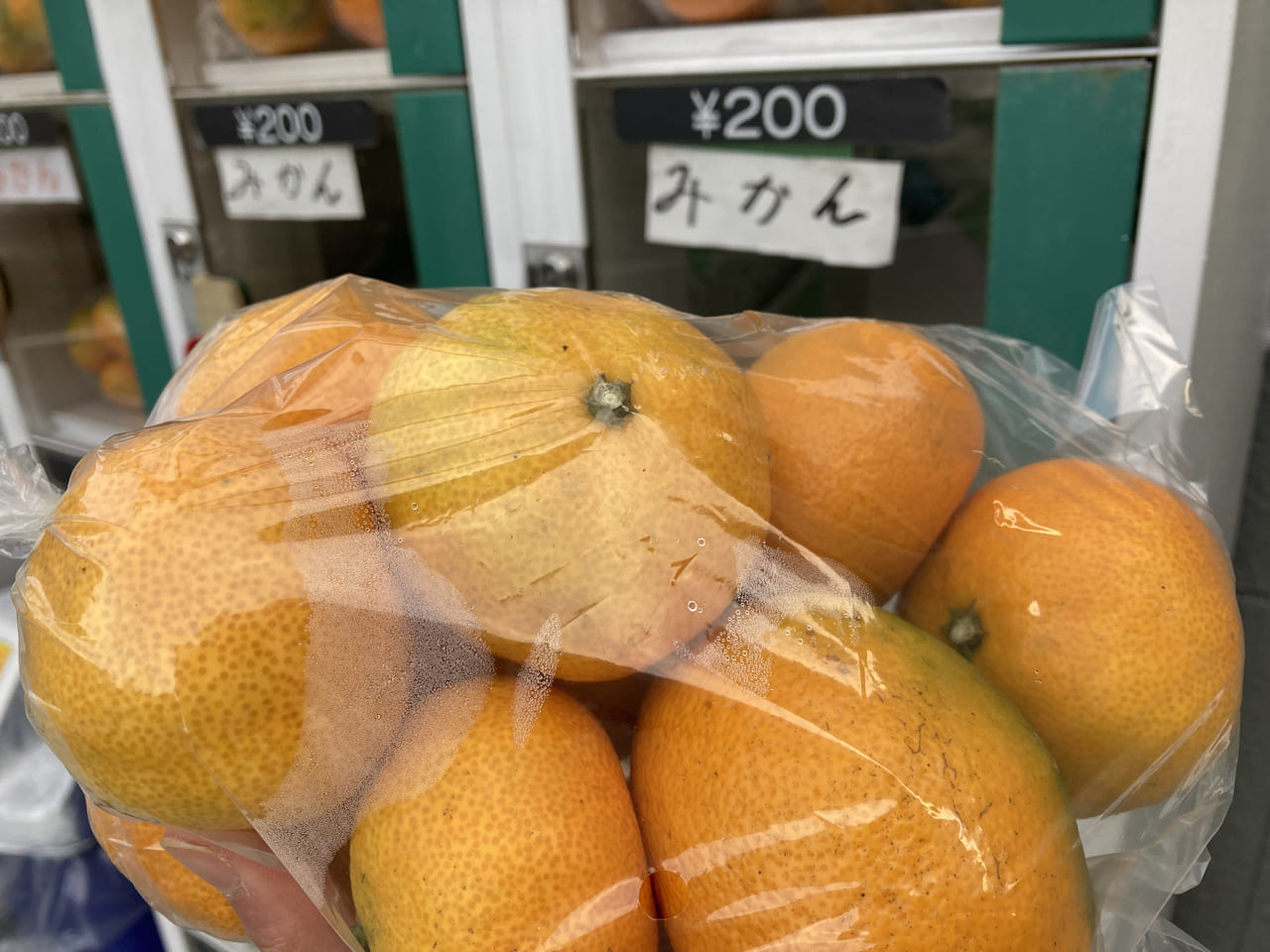 みかんの自動販売機