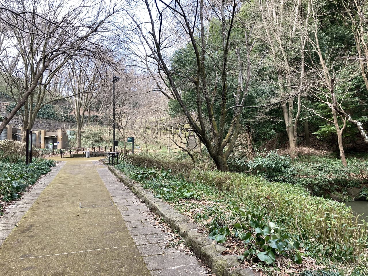 県立東高根森林公園のパークヨガ